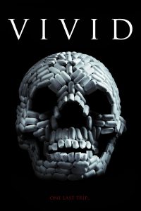 VIViD (2011) WEB-DL Dual Audio {Hindi-English} Movie 480p 720p 1080p Filmyzilla