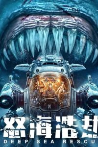 The Abyss Rescue (2023) Dual Audio [Hindi-Mandarin] WEB-DL Full Movie 480p 720p 1080p