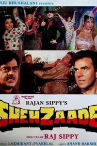 Shehzaade (1989) Hindi Full Movie 480p 720p 1080p